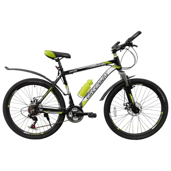 Обзор на Greenway 6919M Cruiser (2017)-0