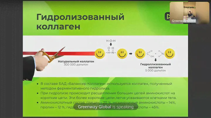 Все о Balancer Collagen от Гринвей